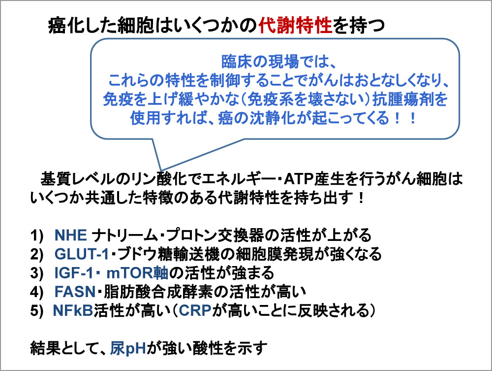 第15回講演会 プログラム2 講演会 ご案内 ご報告 丸山ワクチンとがんを考える会 Npo